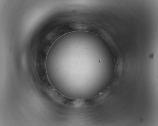 X0000113240762200909171602