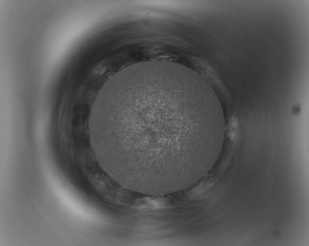 X0000113240763200909171602