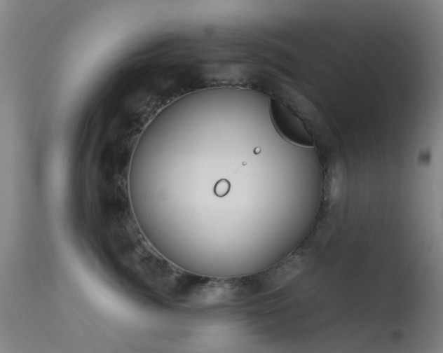 X0000113240764200909171602