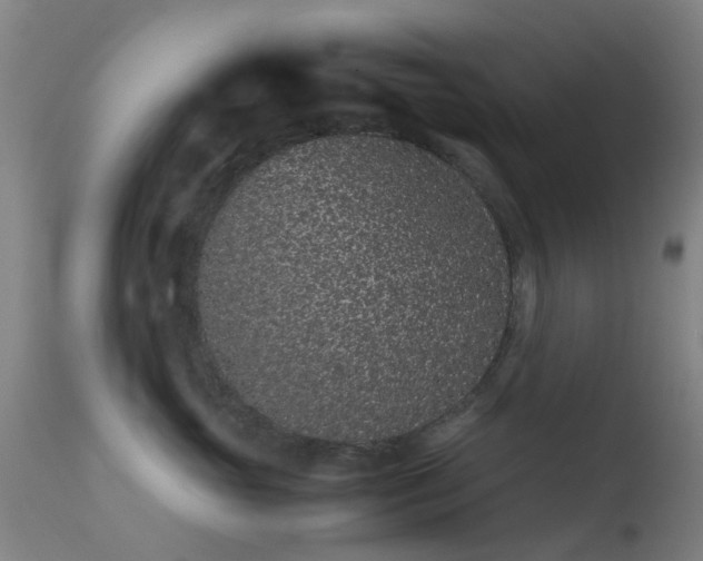 X0000113240765200909171602