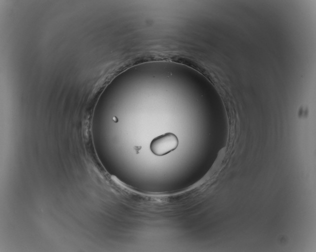 X0000113240768200909171602