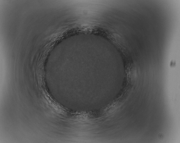 X0000113240769200909171602