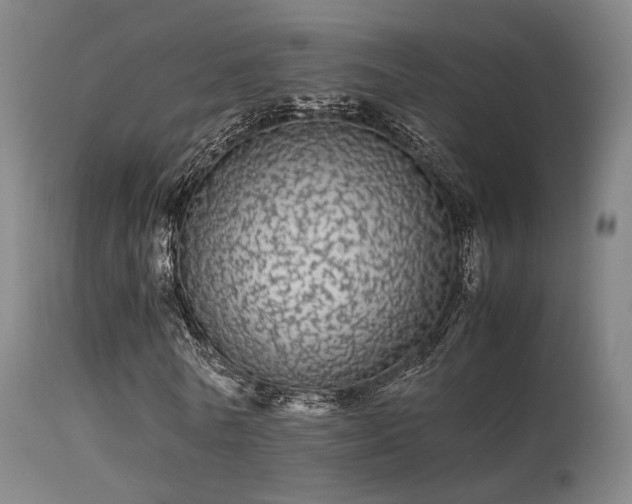 X0000113240770200909171602