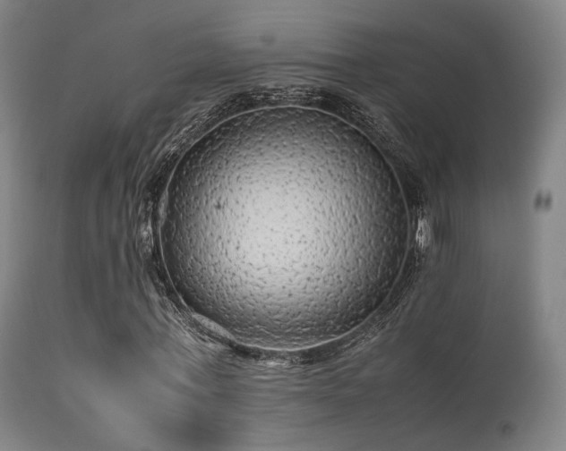 X0000113240771200909171602