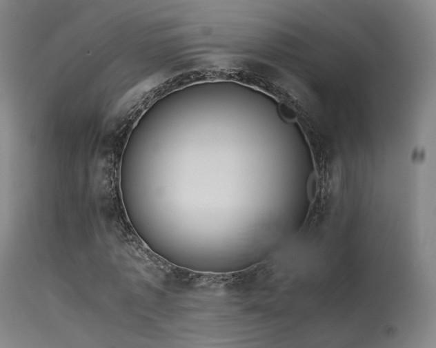 X0000113240773200909171602