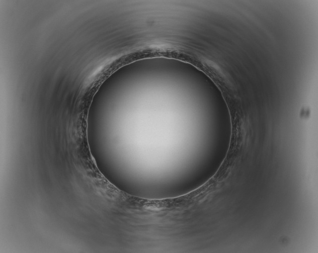 X0000113240776200909171602