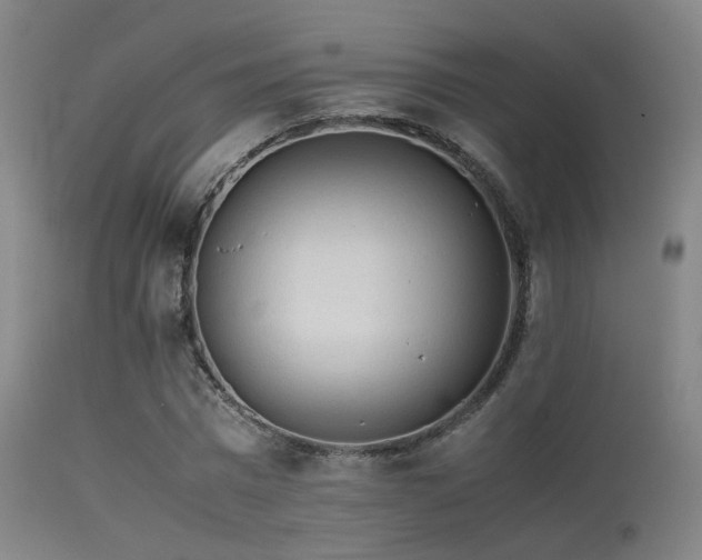 X0000113240777200909171602