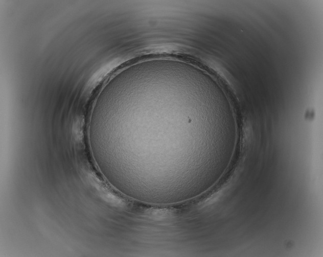 X0000113240778200909171602