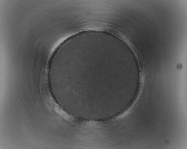 X0000113240779200909171602