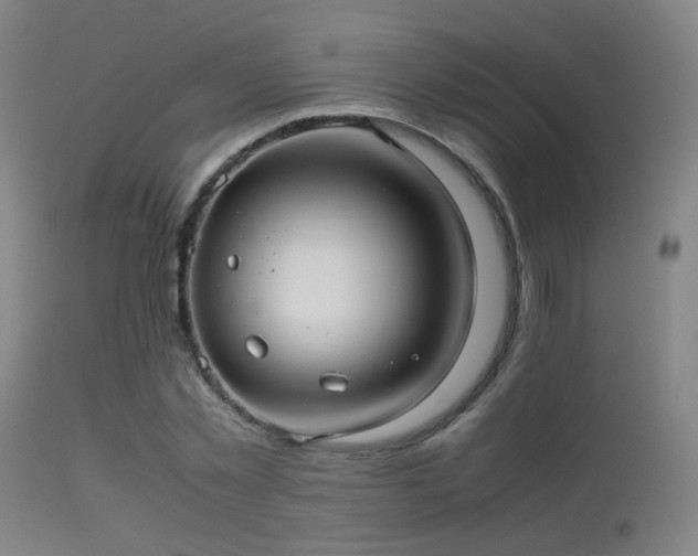 X0000113240781200909171602