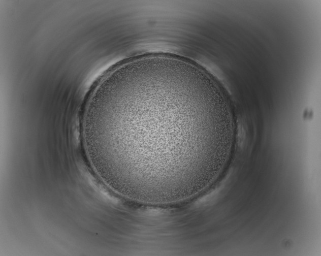 X0000113240782200909171602