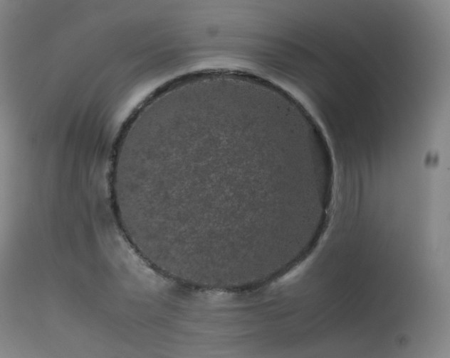 X0000113240783200909171602