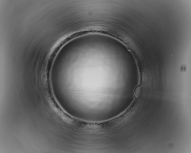 X0000113240784200909171601