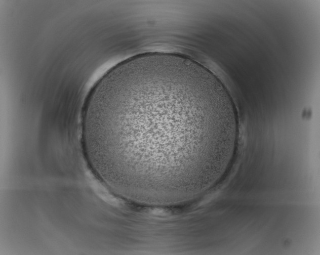 X0000113240787200909171601