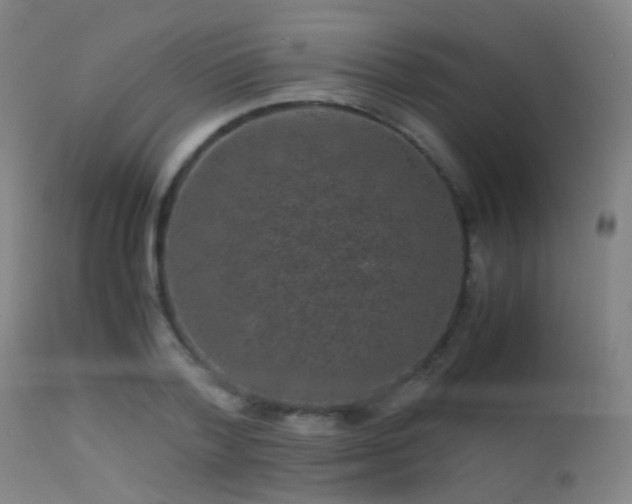 X0000113240788200909171601