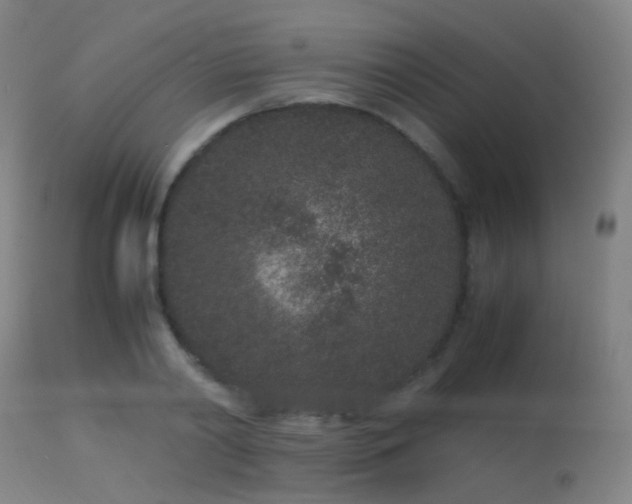 X0000113240790200909171601