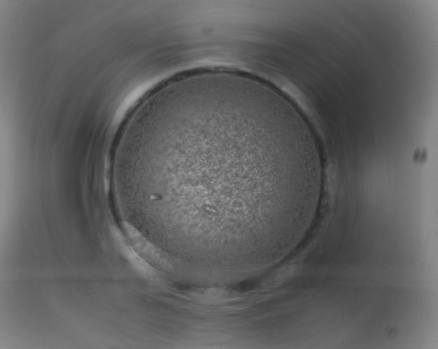 X0000113240791200909171601