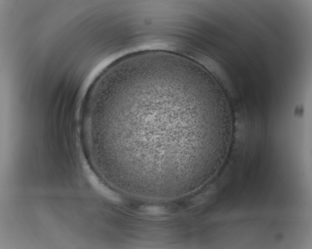 X0000113240792200909171601