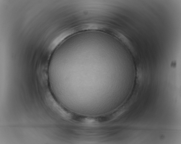 X0000113240794200909171601