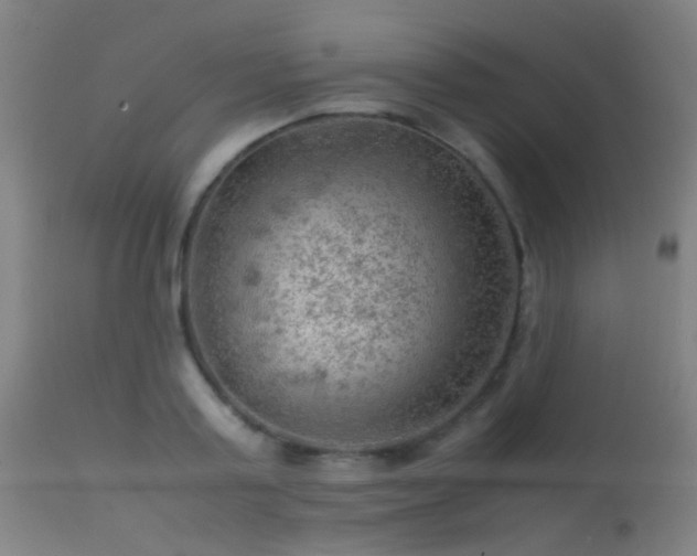 X0000113240795200909171601