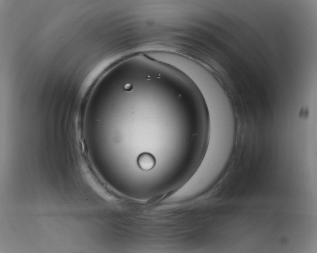 X0000113240796200909171601