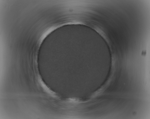 X0000113240797200909171601