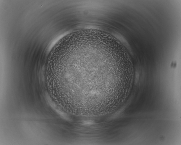 X0000113240798200909171601