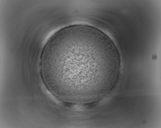 X0000113240799200909171601