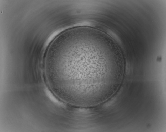 X0000113240800200909171601