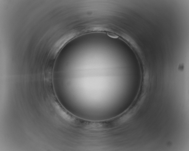 X0000113240801200909171601