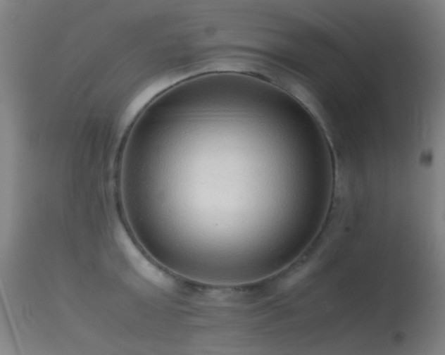 X0000113240803200909171601