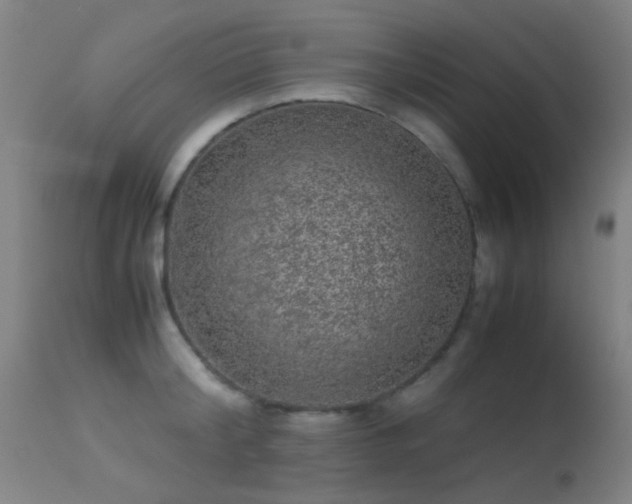 X0000113240804200909171601