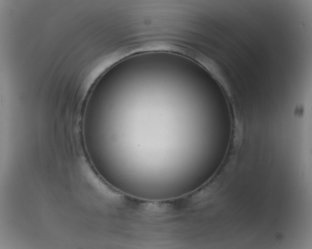 X0000113240805200909171601