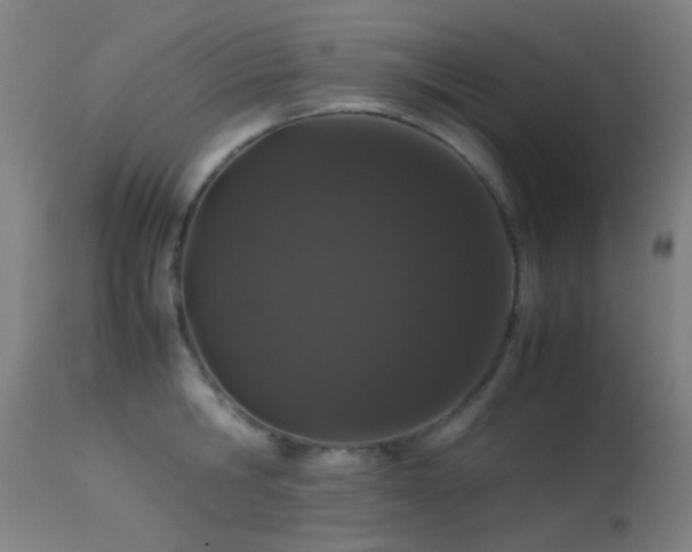 X0000113240806200909171601