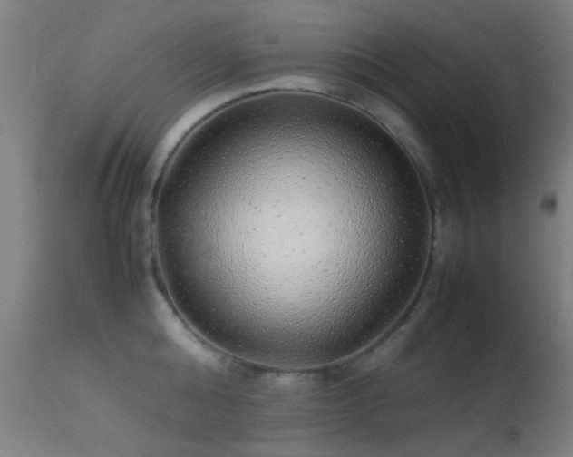 X0000113240808200909171601