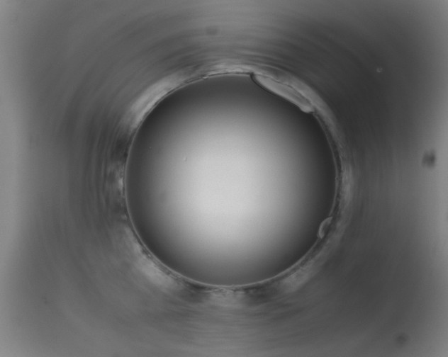 X0000113240809200909171601