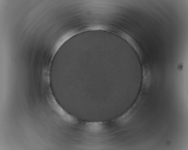 X0000113240810200909171601