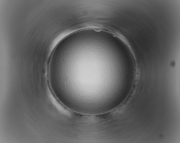 X0000113240811200909171601