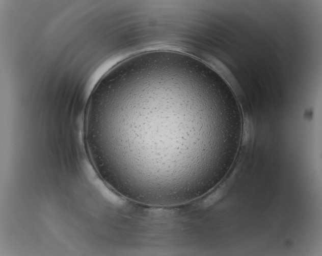 X0000113240812200909171601