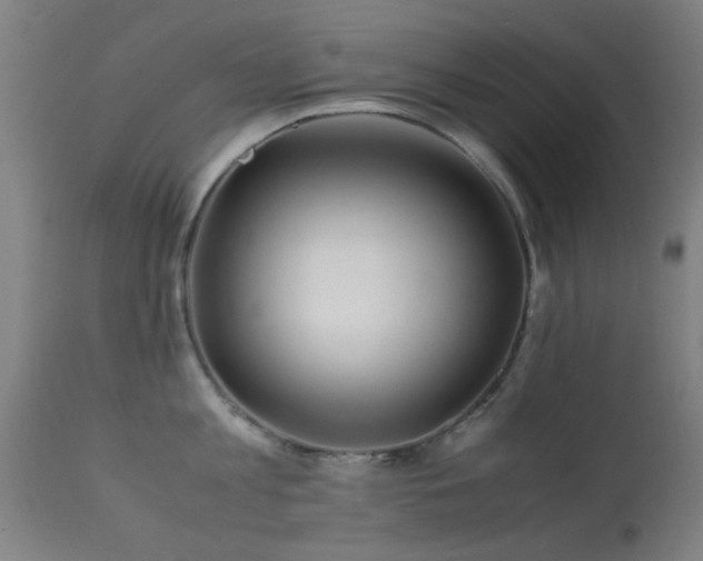 X0000113240813200909171601