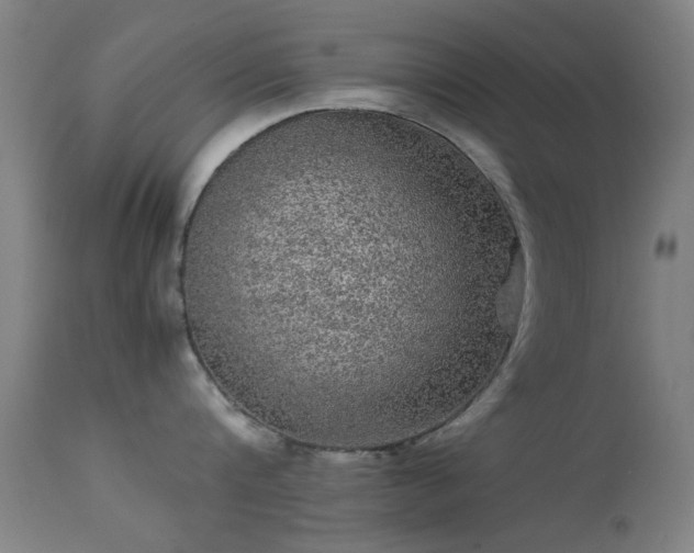 X0000113240816200909171601