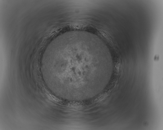 X0000113240817200909171600