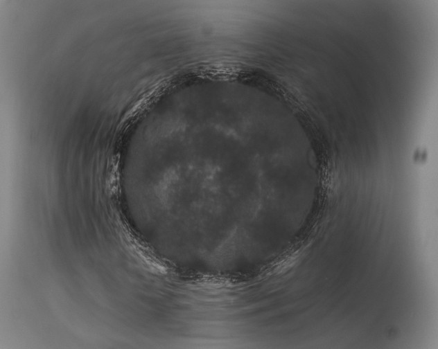 X0000113240818200909171600