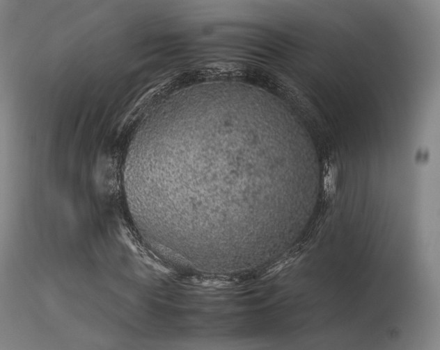 X0000113240819200909171600