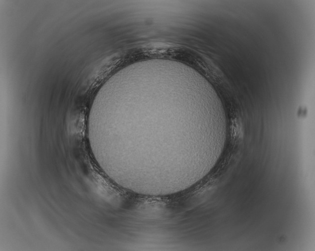 X0000113240820200909171600