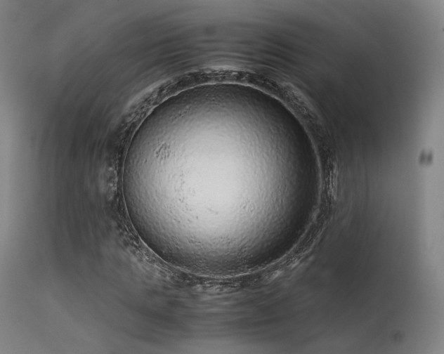 X0000113240821200909171600