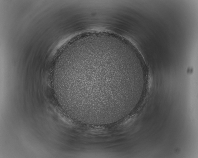 X0000113240823200909171600