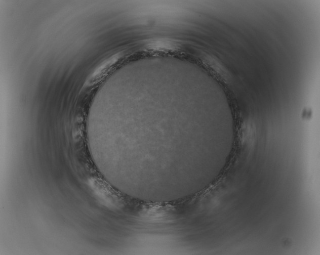 X0000113240824200909171600