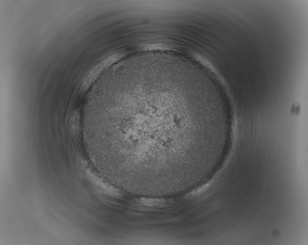 X0000113240825200909171600