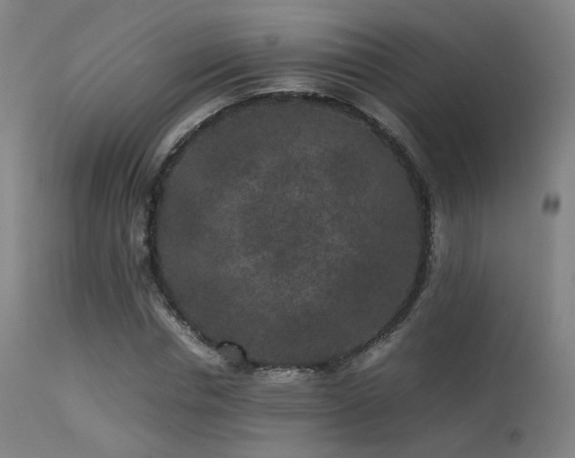 X0000113240826200909171600